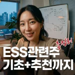 ess관련주투자를고민하고있는기초투자자여성